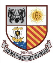Coláiste Iognáid Socks